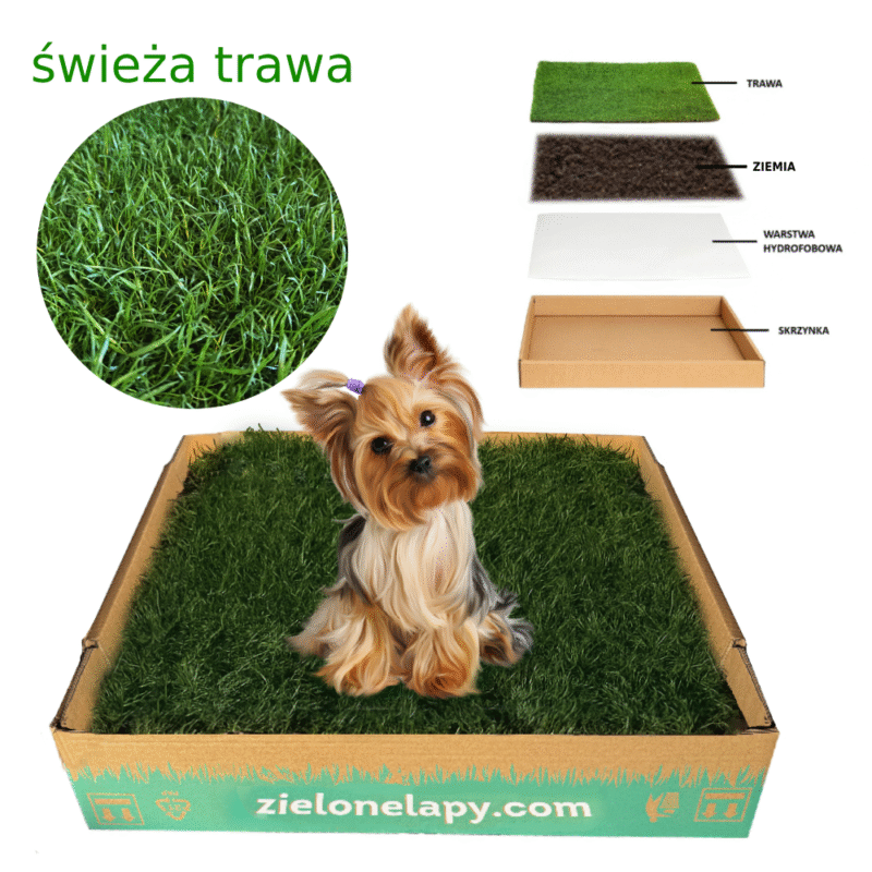 Legowisko i kuweta 2w1 – Mała