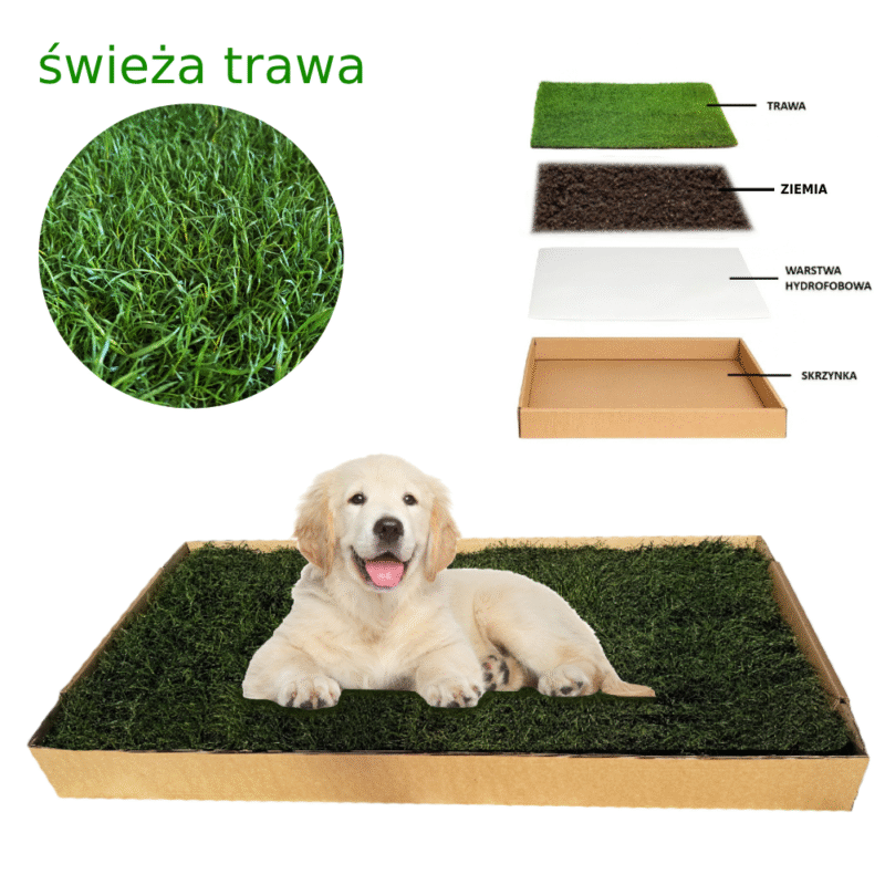 Legowisko i kuweta 2w1 – Duża