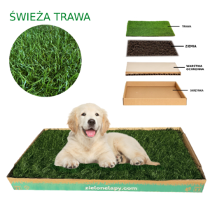 Legowisko z trawy 50×100 cm dla psa – Zielone Łapy