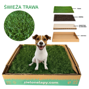 Kuweta z trawy 50×50 cm dla psa – Zielone Łapy