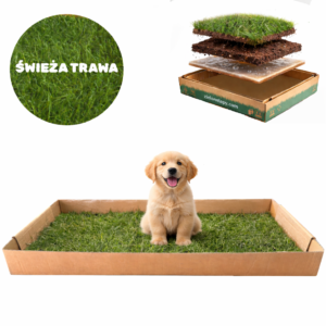 Legowisko z trawy 50×100 cm dla psa - Zielone Łapy